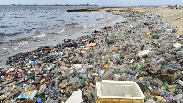 how are plastic bottles recycled